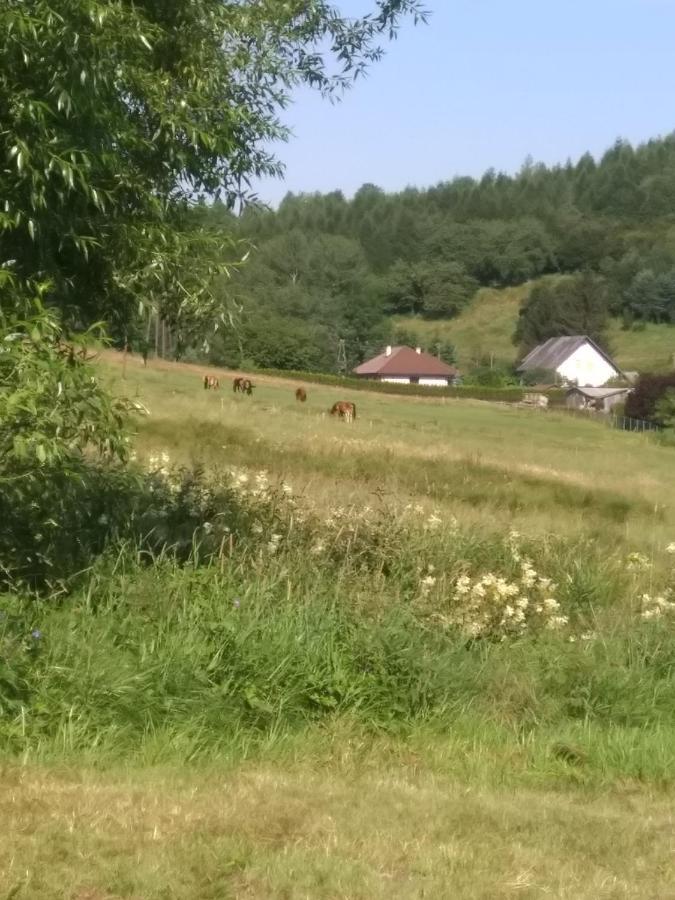 Altana Caloroczna Vira Numer 7 Herbergerowka Agroturystyka Na Wsi Duszniki Zdrój Extérieur photo