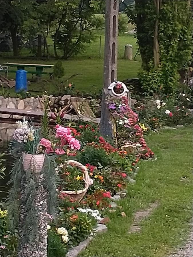 Altana Caloroczna Vira Numer 7 Herbergerowka Agroturystyka Na Wsi Duszniki Zdrój Extérieur photo