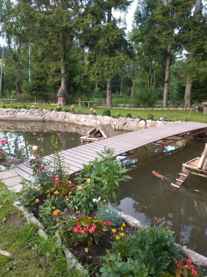 Altana Caloroczna Vira Numer 7 Herbergerowka Agroturystyka Na Wsi Duszniki Zdrój Extérieur photo