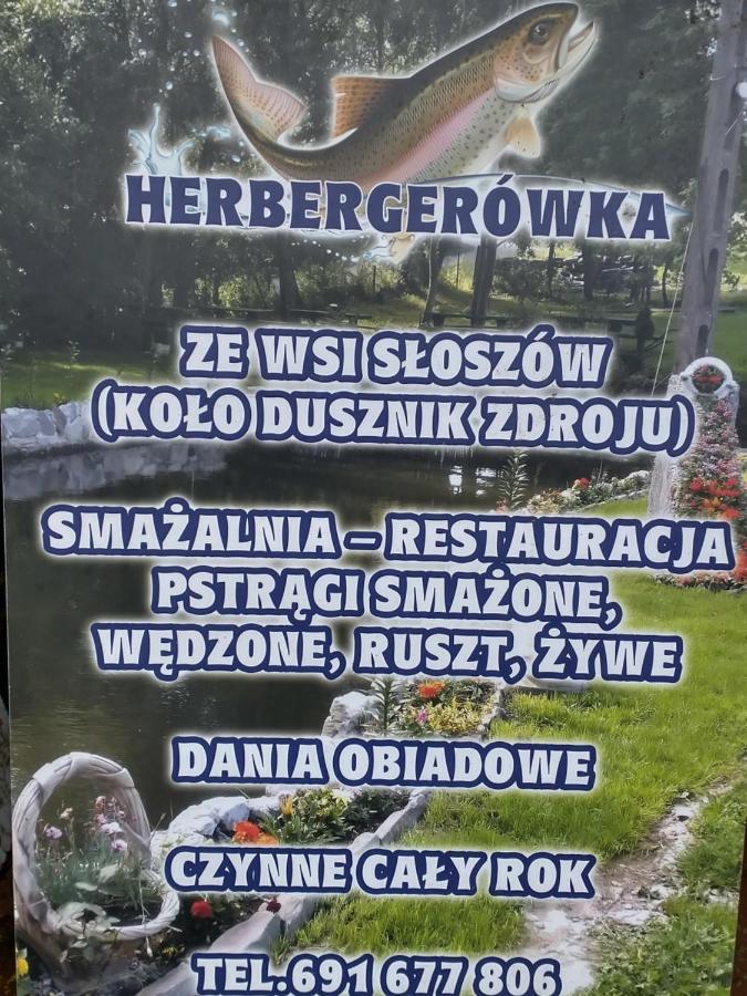 Altana Caloroczna Vira Numer 7 Herbergerowka Agroturystyka Na Wsi Duszniki Zdrój Extérieur photo
