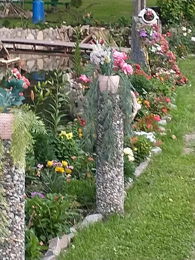 Altana Caloroczna Vira Numer 7 Herbergerowka Agroturystyka Na Wsi Duszniki Zdrój Extérieur photo